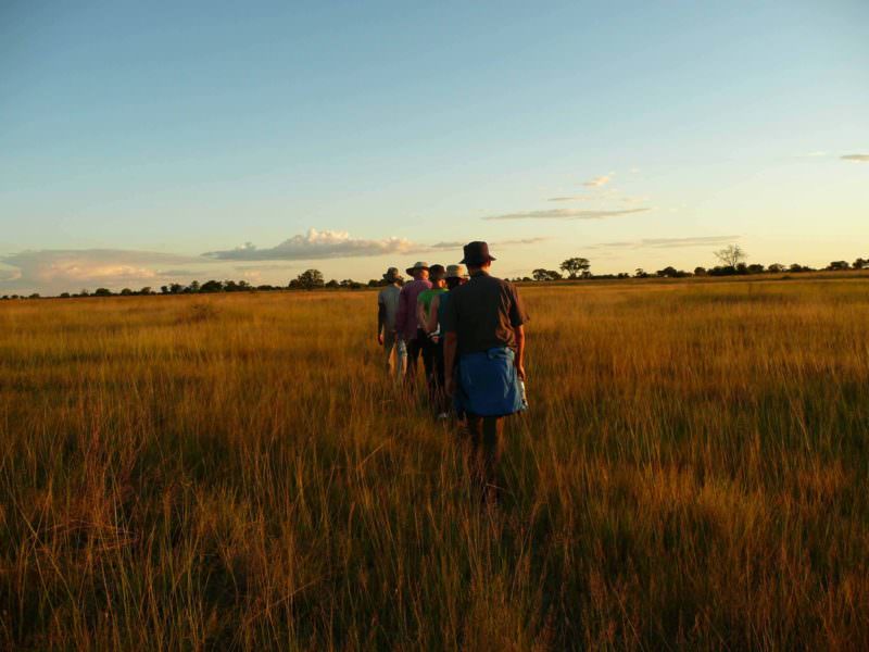 Walking Safari
