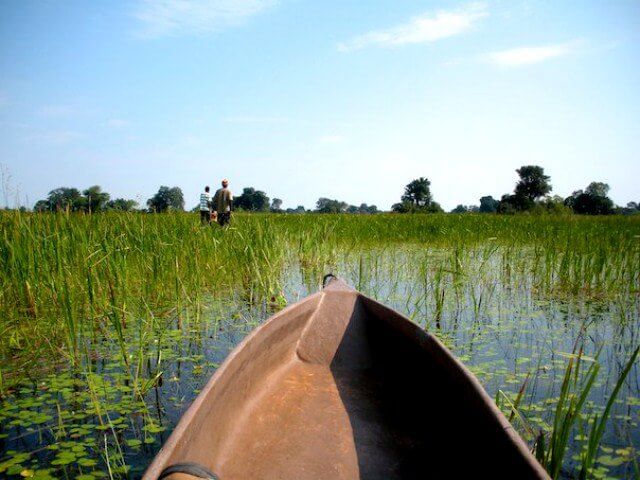 okavango-delta-green season