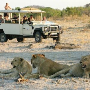 8 Day Moremi and Chobe Botswana Mobile Safari