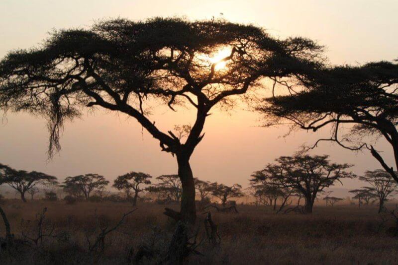 NNC58 Day 19: Karatu