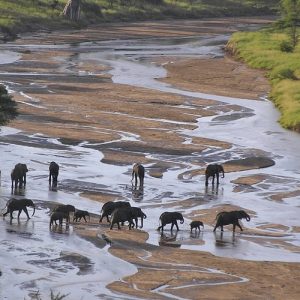 7 Day Tanzania Wildlife Small Group Adventure