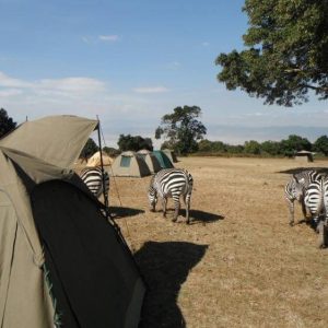 12 Day Kenya and Tanzania Inclusive Safari