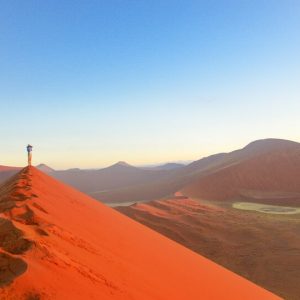 7 Day Best of Namibia Highlights Safari