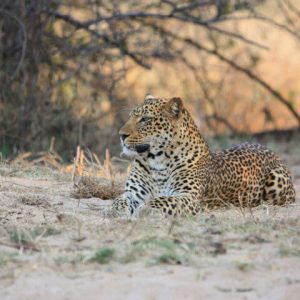 16 Day Livingstone to Zanzibar Overland Tour