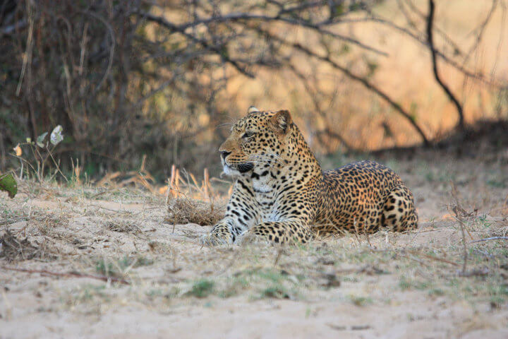 16 Day Livingstone to Zanzibar Overland Tour