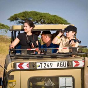 46 Day Nairobi to Johannesburg and Gorillas Overland