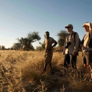 14 Day South Africa Walking Tour