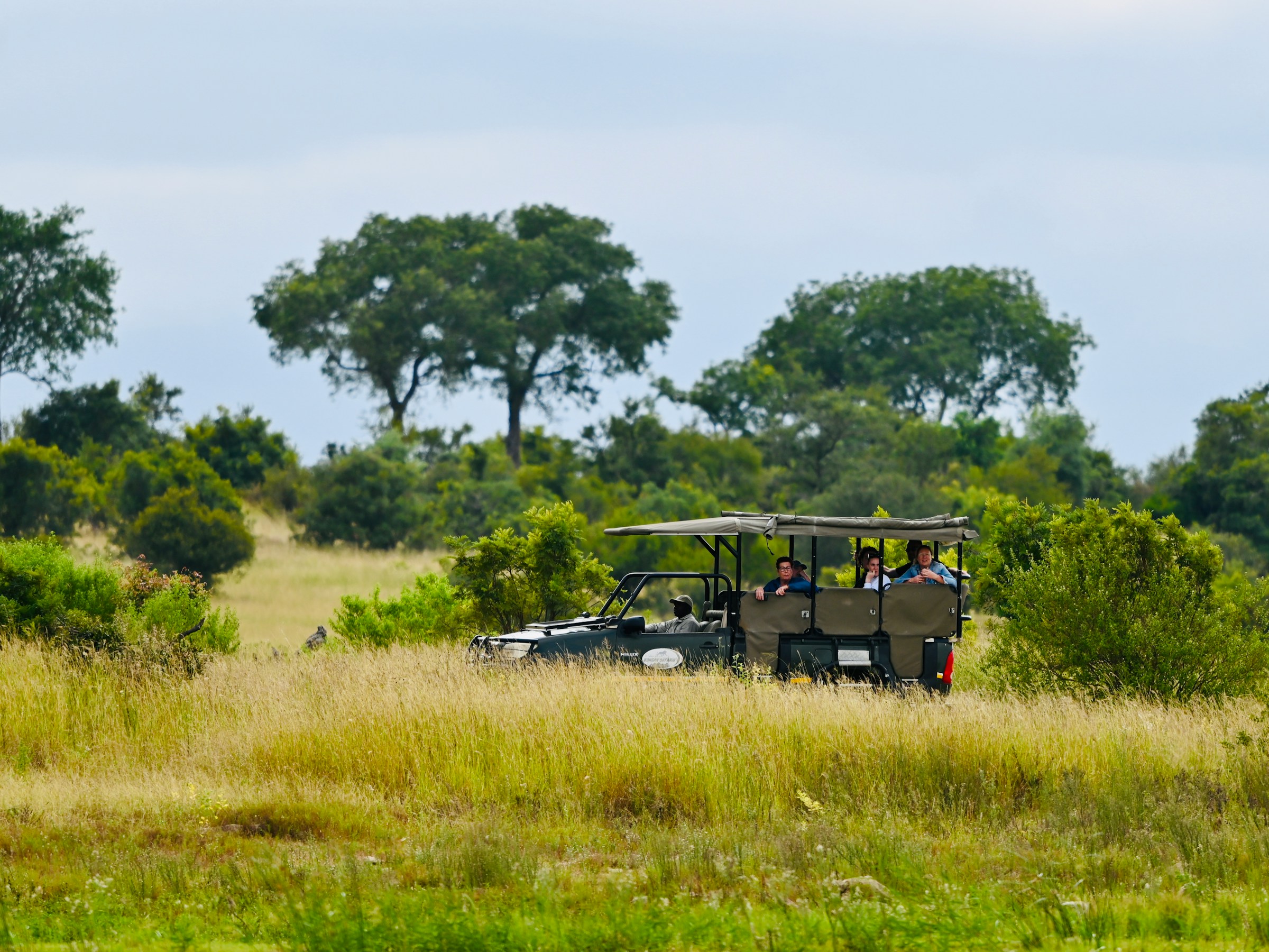 a group of people riding in the back of a safari vehicle in Africa