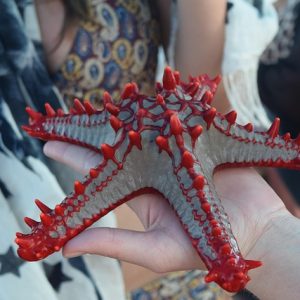 29 Day Victoria Falls to Zanzibar Overland