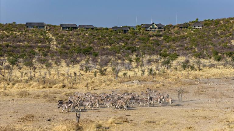 15TON Day 11: Etosha Heights Private Reserve, Namibia