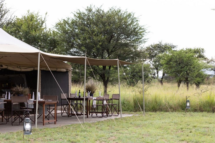 NACN56 Day 40: Serengeti (NEW) 2026
