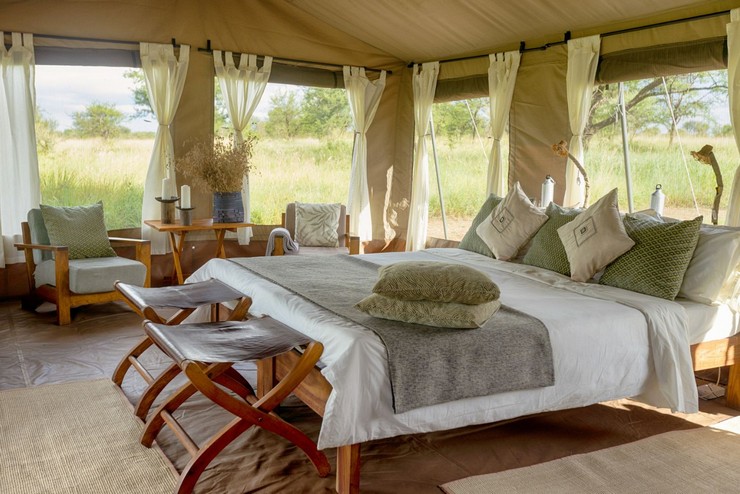 NACN56 Day 40: Serengeti (NEW) 2026