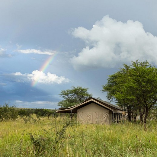 NACN56 Day 40: Serengeti (NEW) 2026
