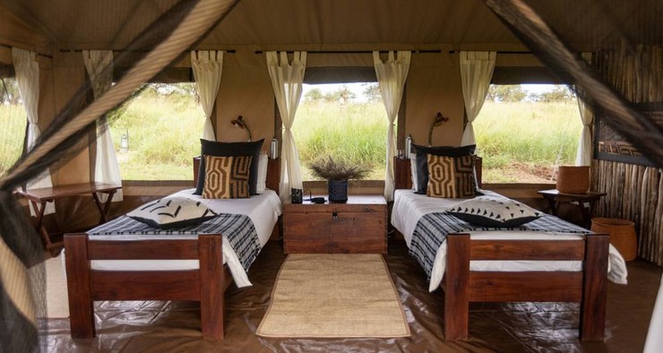 NACN56 Day 40: Serengeti (NEW) 2026