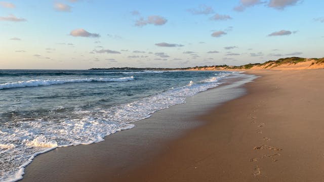 14 Day Wildlife & Waterscapes Safari: Kruger & Mozambique Coast Reviews