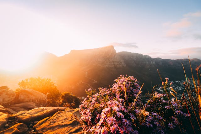 57 Day Nairobi to Cape Town Tour Reviews