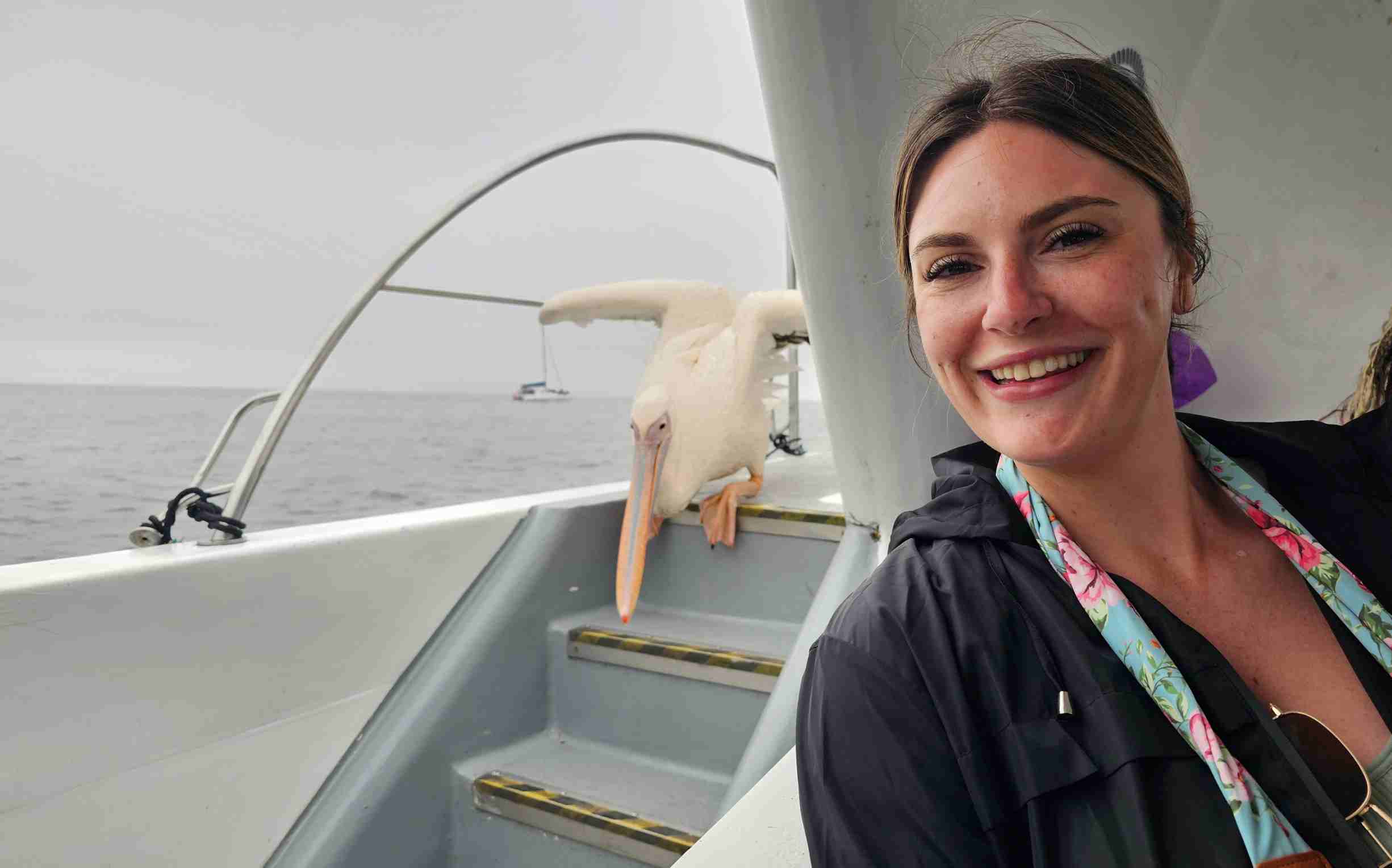 pelicans on boat in swakopmund