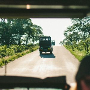 13 Day Cape Town to Victoria Falls Explorer
