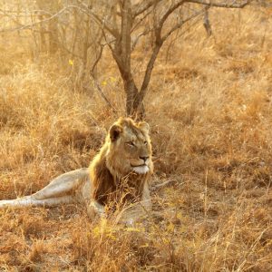 18 Days Johannesburg to Maun