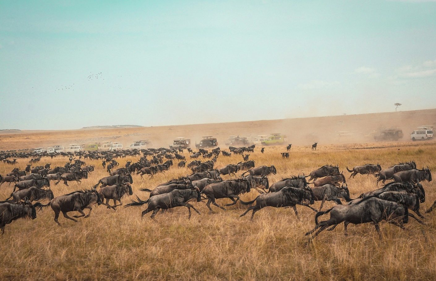 African Overland Tours Masai Mara National Reserve