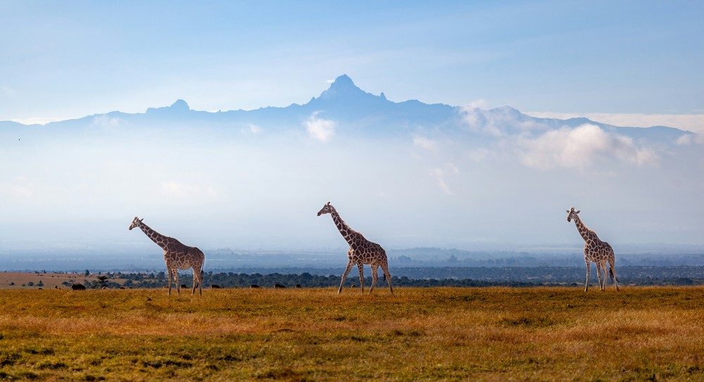 Mount Kenya