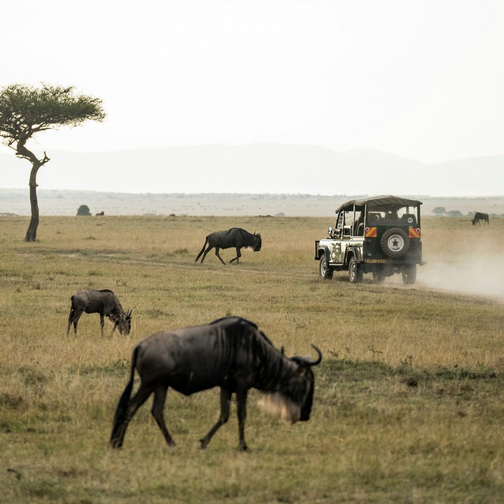 African Overland Tours