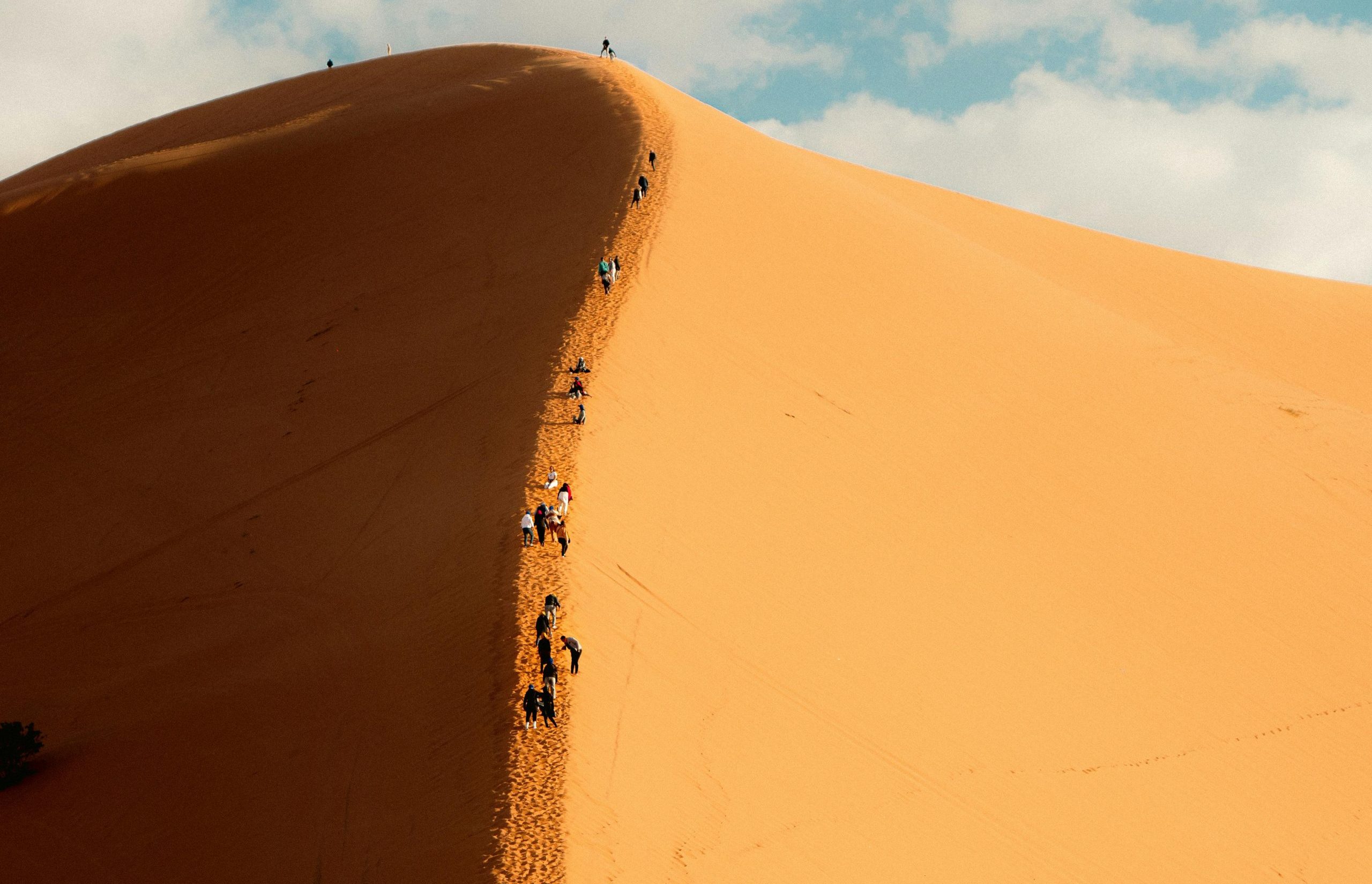 Climb the Dunes of Sossusvlei and Explore Deadvlei