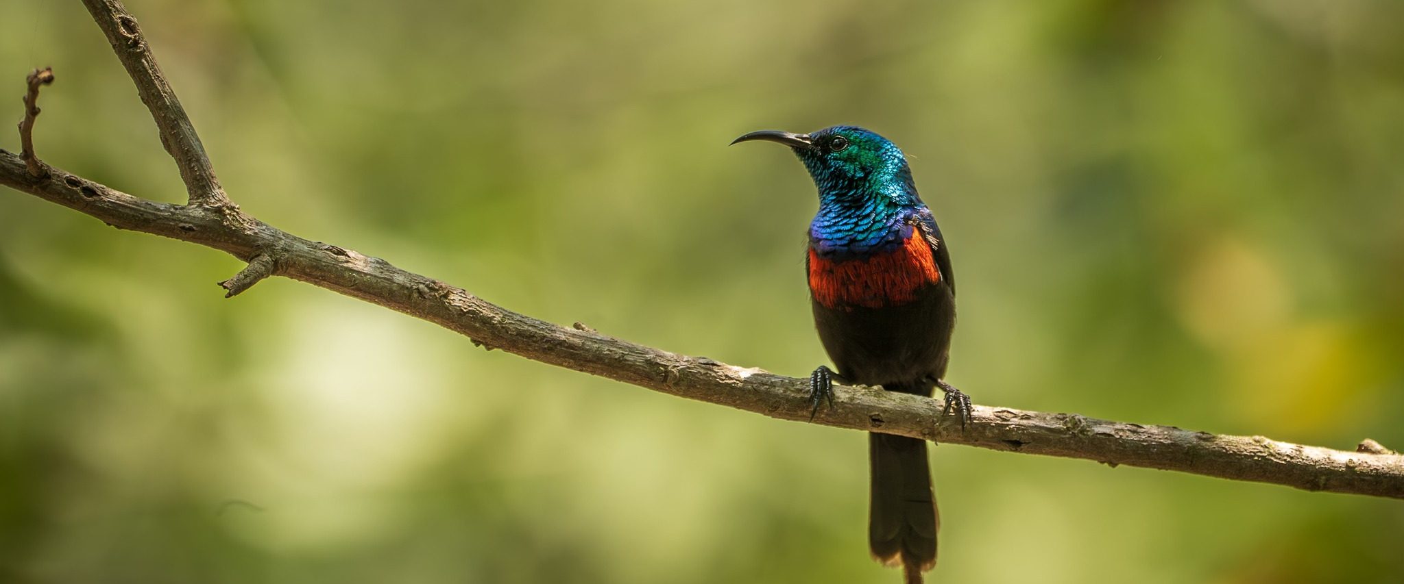 african overland tours highlights in africa