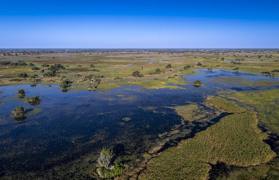 african overland tours okavango delta