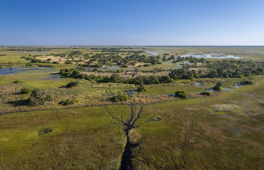 Scenic Flights Over the Delta: A New Perspective
