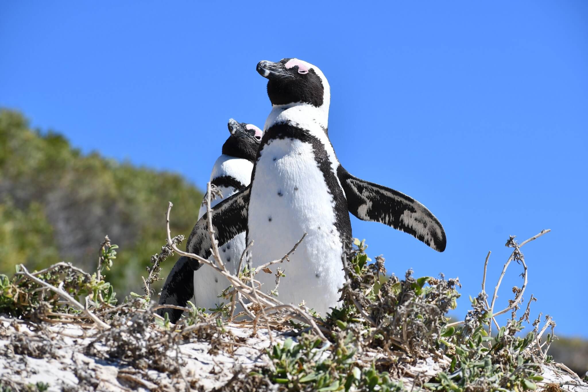 Beaches, Wetlands & Coastline Escapes