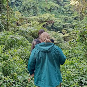 9 Day Discover Rwanda & Uganda: Gorillas, Wildlife & Culture