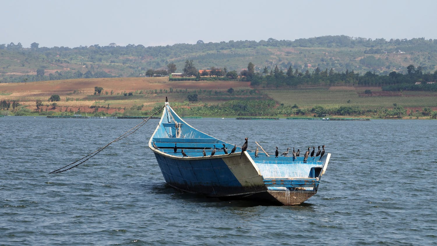 Adrenaline adventures in Jinja