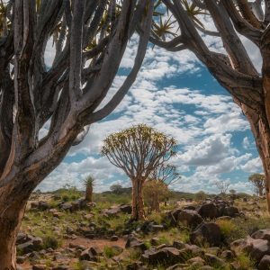 21 Day Ultimate Highlights of Namibia Private Safari