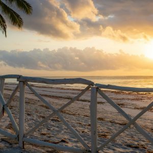 10 Day Discover Kenya’s Wildlife, History and Coastal Beauty by Train Mixed Accommodation