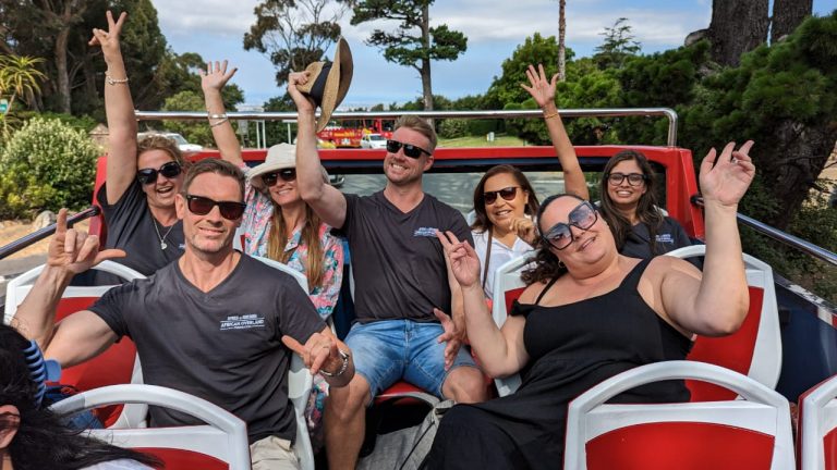 14 Things To Do in Cape Town