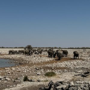 20 Day Cape Town to Victoria Falls Ultimate Tour (Most Popular)