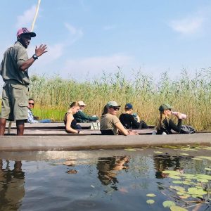 21 Day Discover Southern Africa: Victoria Falls to Cape Town