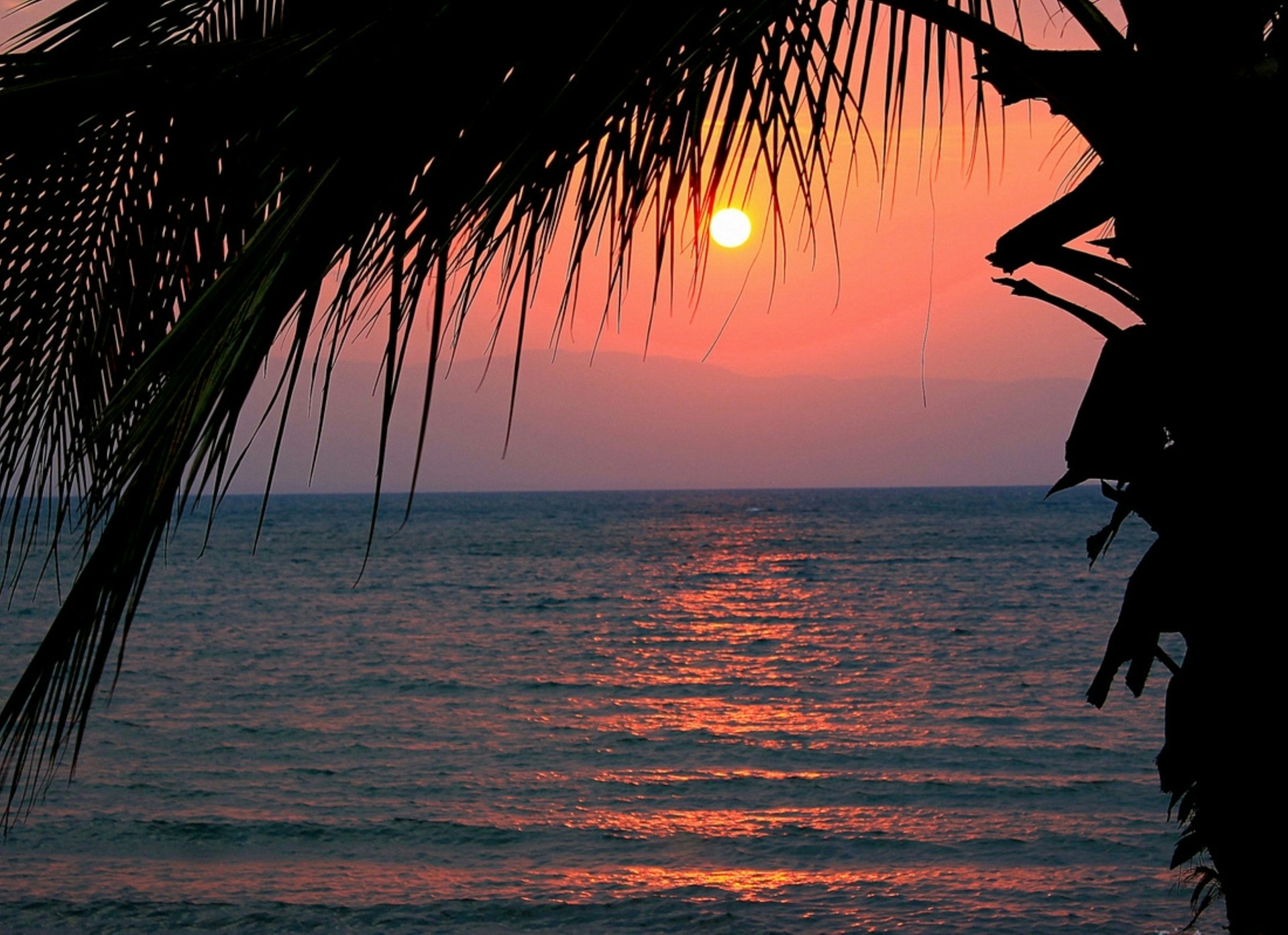 Sunset over Lake Malawi framed by a palm tree