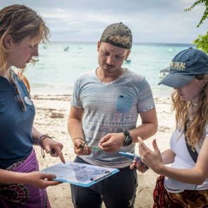 Ocean Impact: Dolphin Research & Marine Conservation: Volunteer Program