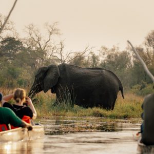 20 Day Victoria Falls to Cape Town Overland Tour