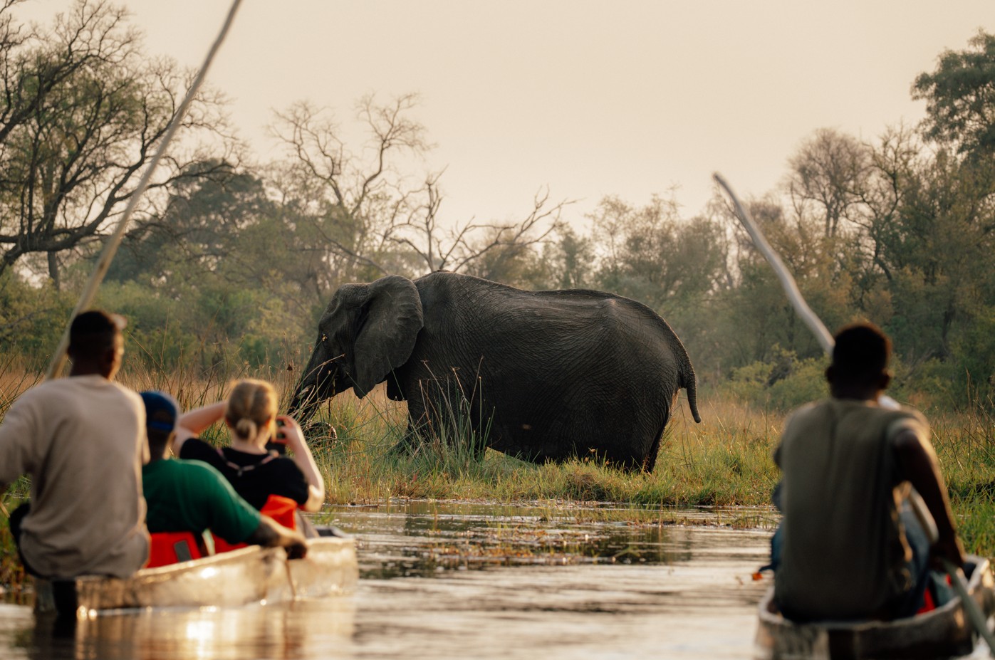 client reviews for African overland tours