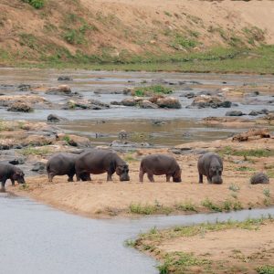14 Day Southern Africa Tour: Kruger, Hwange, Chobe & Victoria Falls