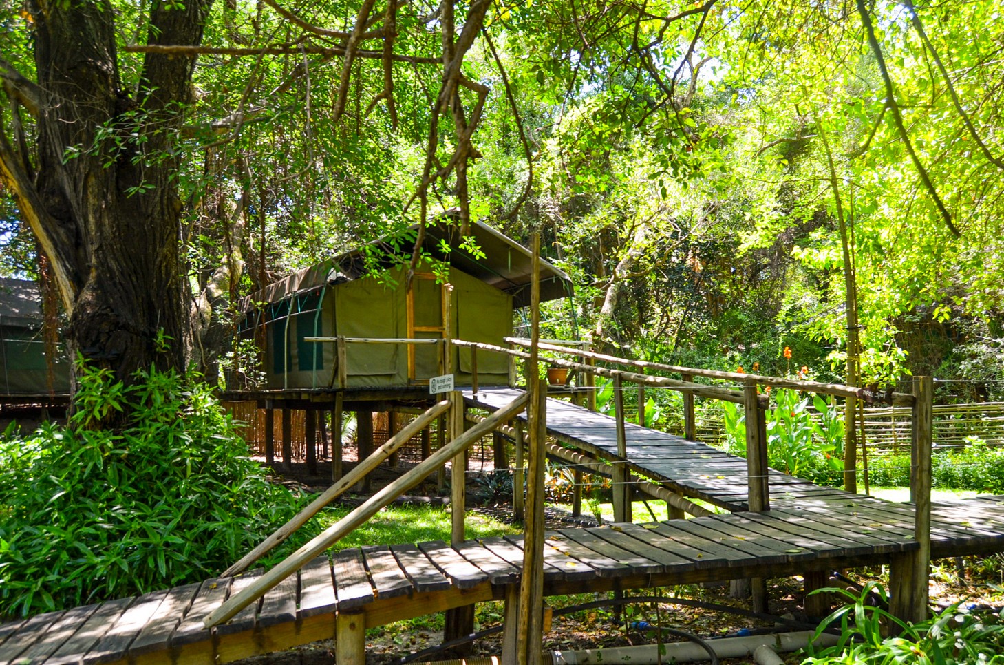 Nguma Island Outside Area
