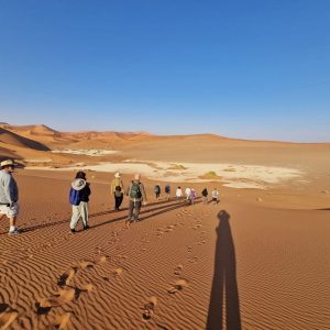 12 Day Windhoek to Victoria Falls Tour