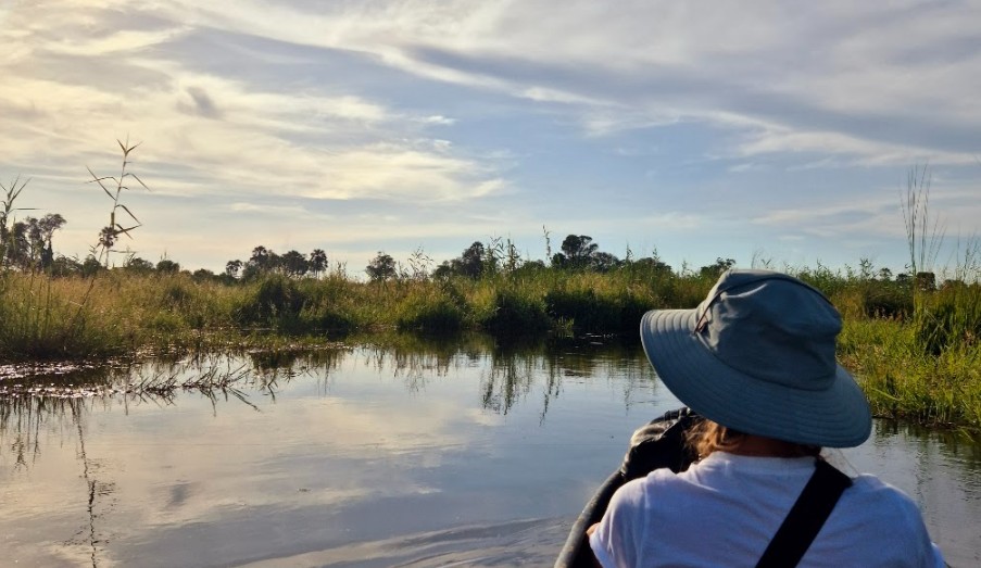 A First-Timer’s Honest Guide to the Okavango Delta
