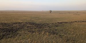hot air balloon safaris in tanzania