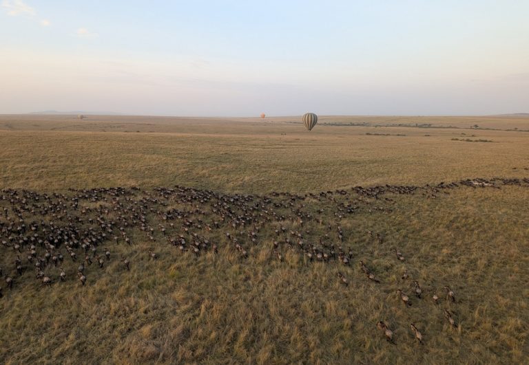 Beyond the Checklist: Finding the Real Magic of the Mara
