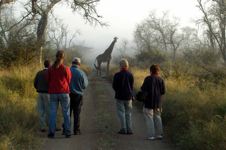 3 reasons to include a walking safari in your visit to Africa