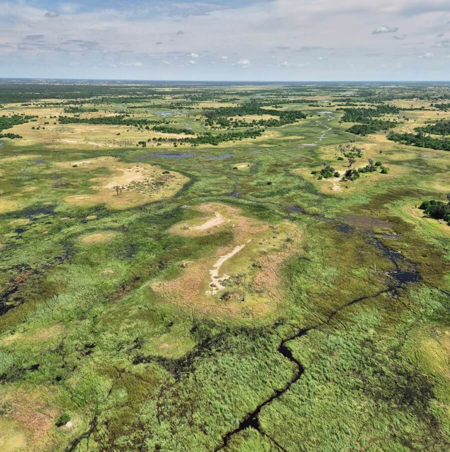 aerial view of the okavango delta